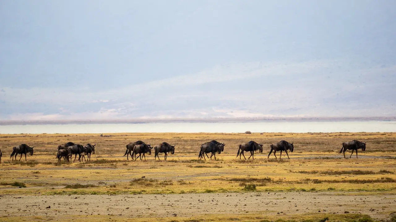 A view of the Ngorongoro Crater in Tanzania