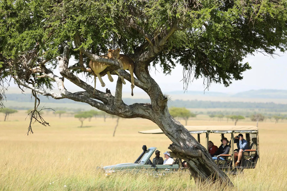 angama mara hotel