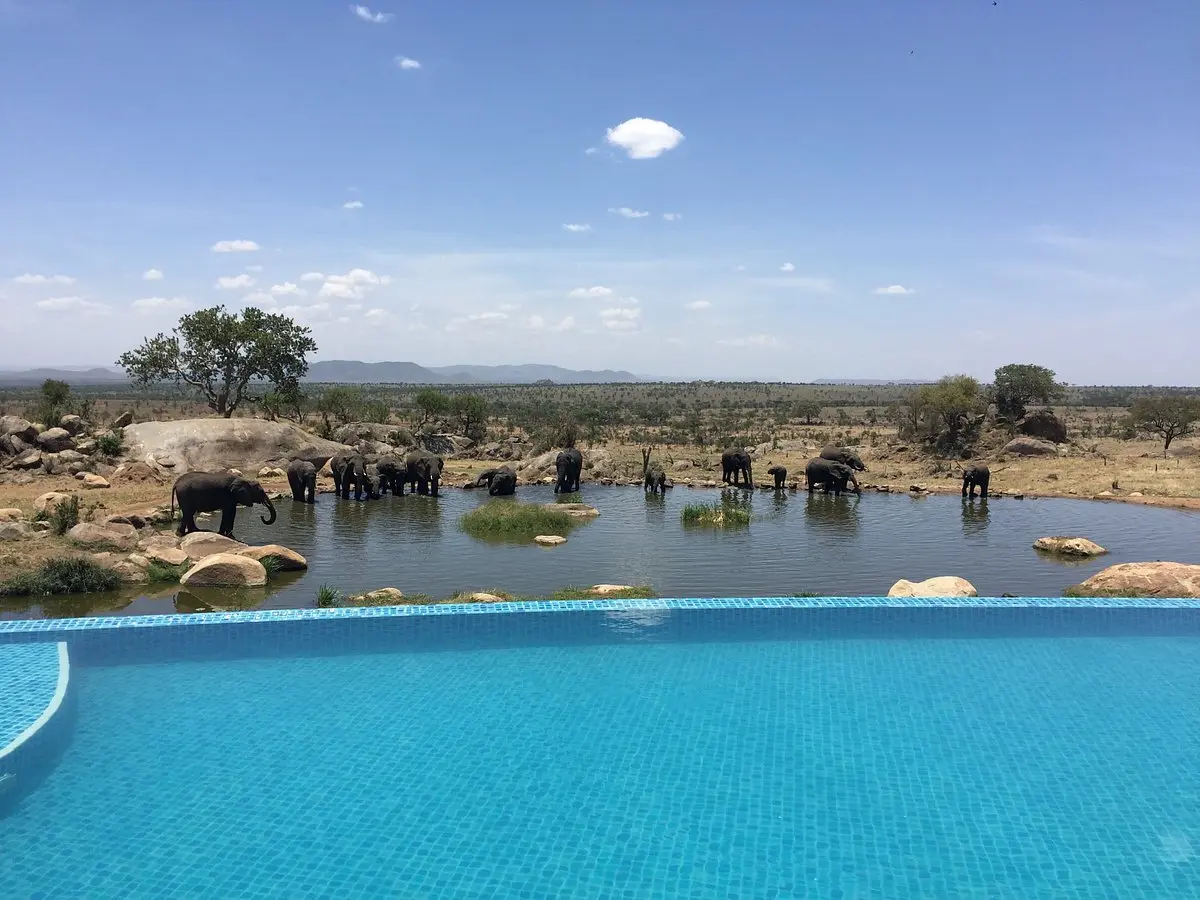 four-seasons-safari-lodge - plunge pool
