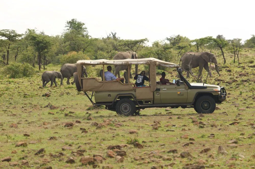 safari safari game