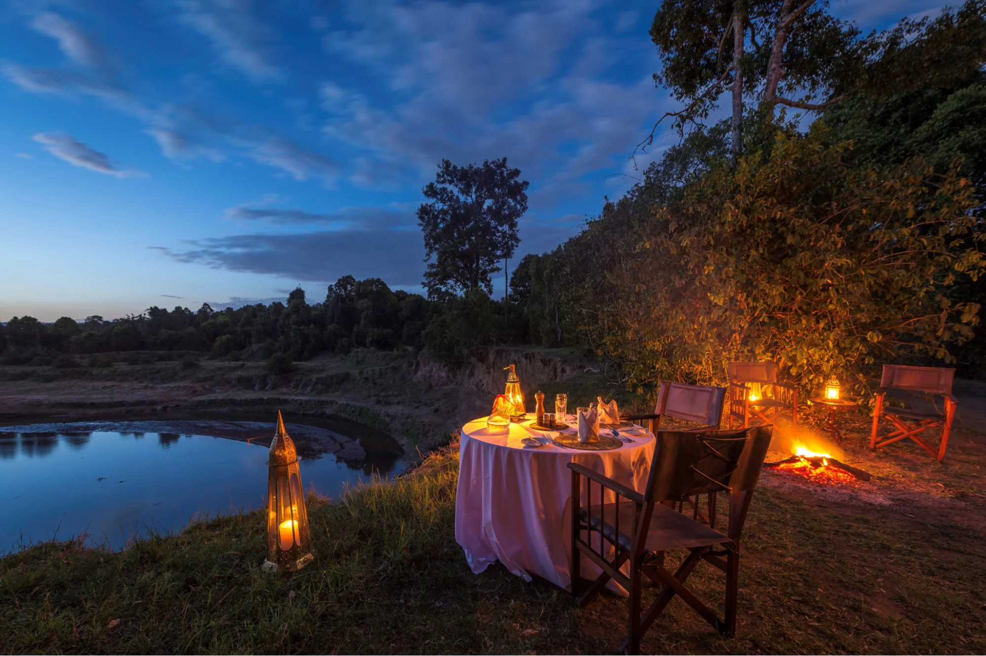 Big Five Safari- the African Lion