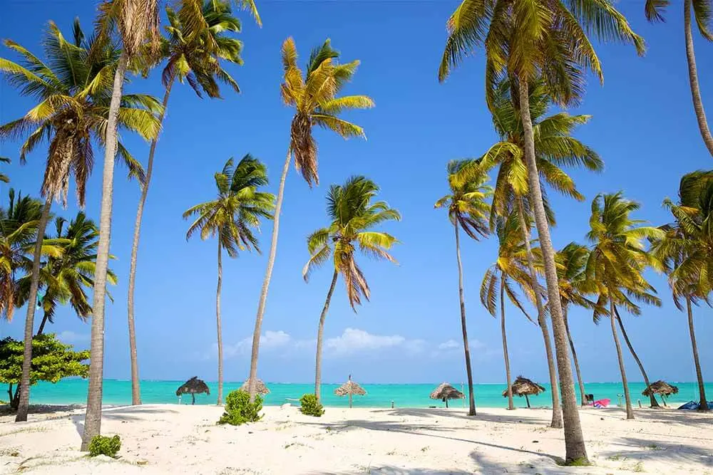 Planning a Safari and Zanzibar Beach Holiday