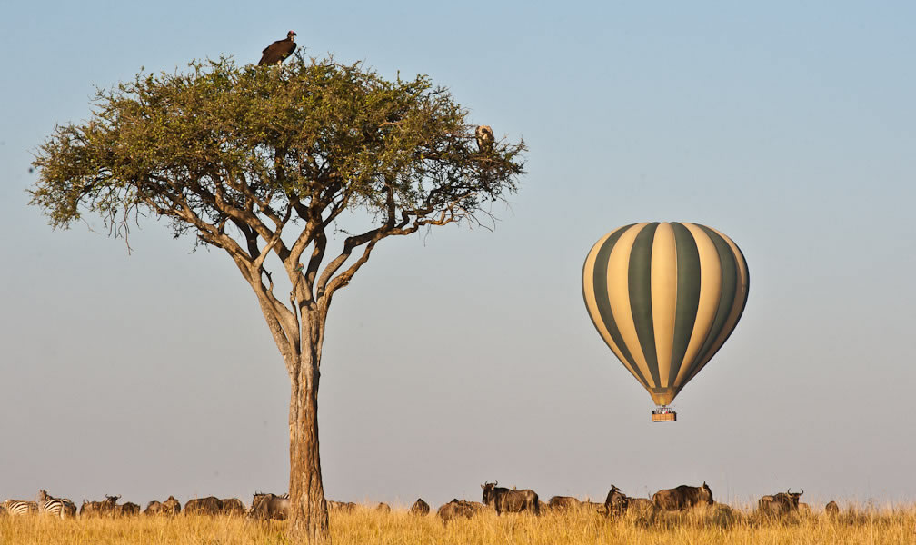 Hot air balloon safari - Tanzania luxury tours