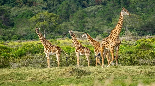 landmarks in Tanzania