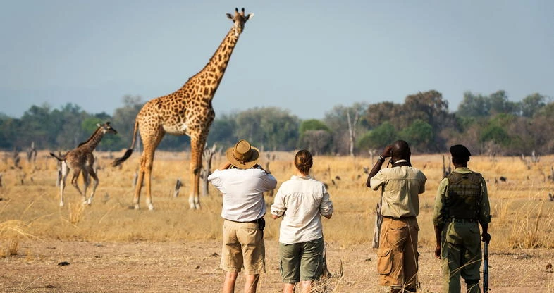 Tanzania safaris packages