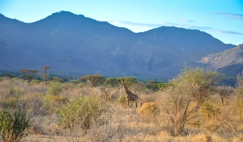 Mathews View - KenyaLuxurySafari.co.uk