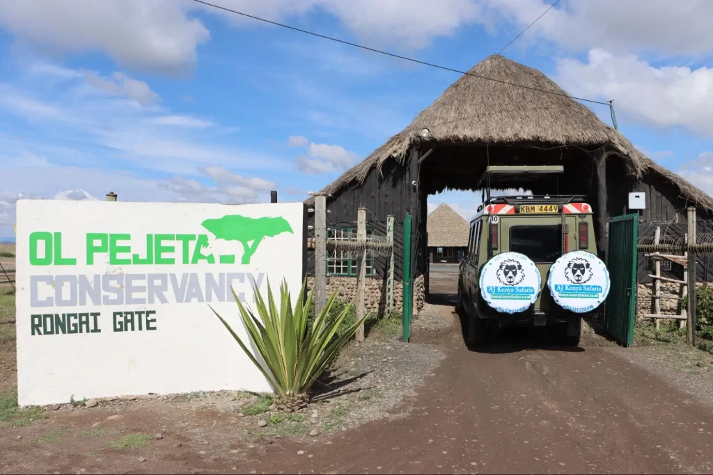 Kenya wildlife safaris in Ol Pejeta Conservancy