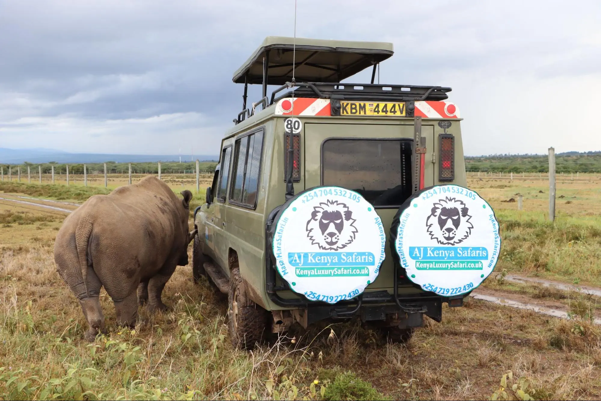 Private Kenya safari tours - Rhino in Ol Pejeta conservancy
