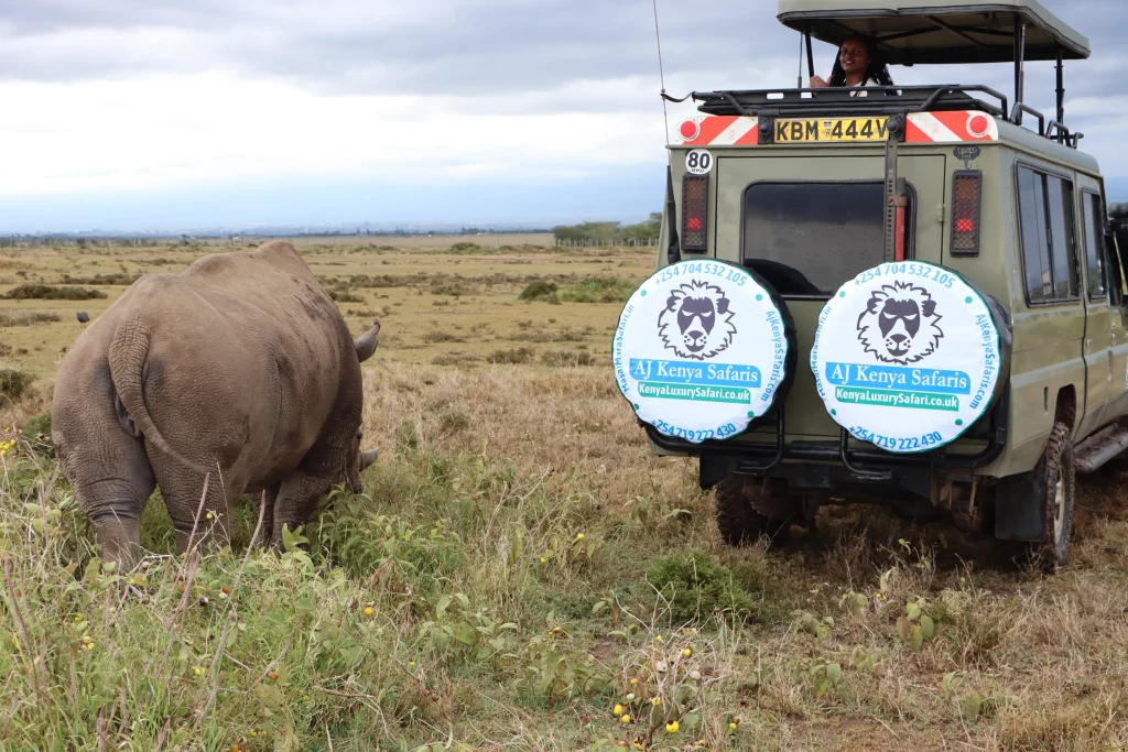 Kenya safari and beach vacation - Our land cruiser in Ol Pejeta conservancy