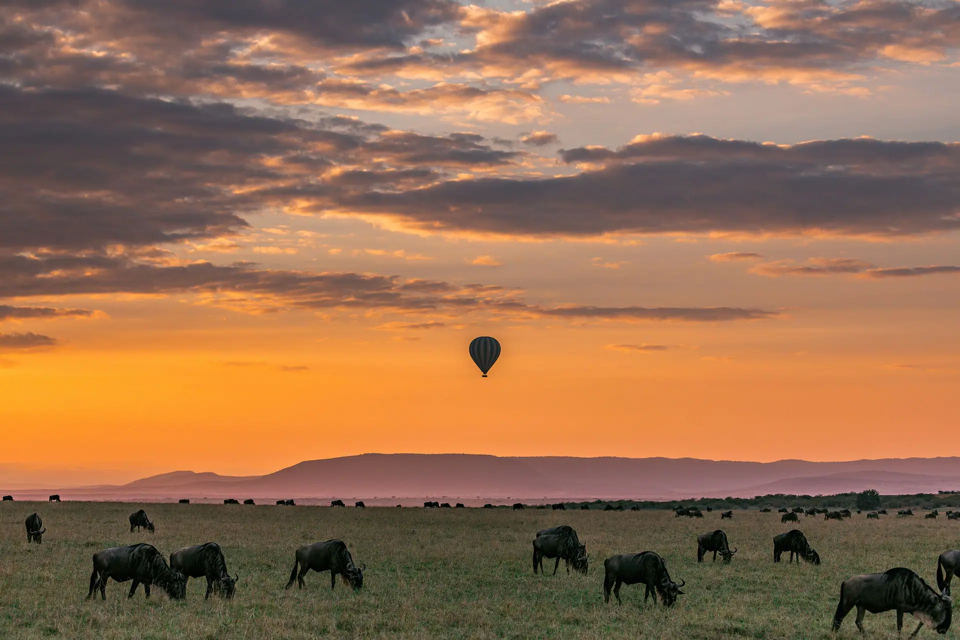 Tanzania safari trips- hot-air balloon safari