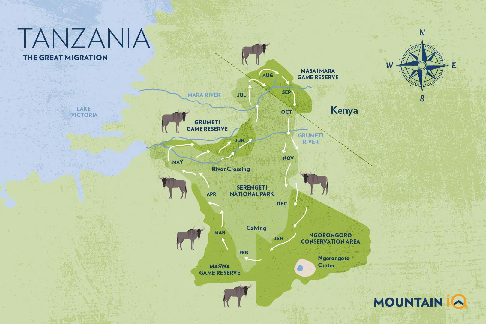 the Great Migration safaris- month-by-month development